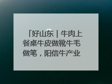 好山东｜牛肉上餐桌牛皮做靴牛毛做笔，阳信牛产业“超级牛”