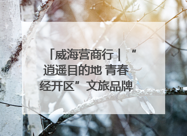 威海营商行｜“逍遥目的地 青春经开区”文旅品牌推介走进韩国