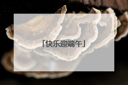 快乐迎端午