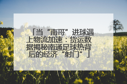 当“南哥”进球遇上物流加速：货运数据揭秘南通足球热背后的经济“射门”