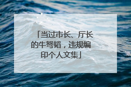 当过市长、厅长的牛弩韬，违规编印个人文集