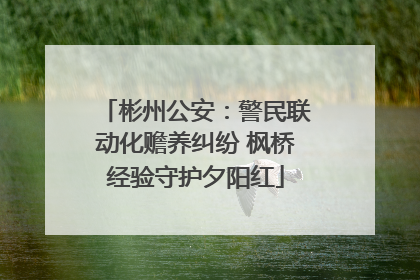 彬州公安：警民联动化赡养纠纷 枫桥经验守护夕阳红