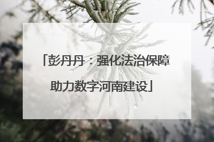彭丹丹：强化法治保障 助力数字河南建设