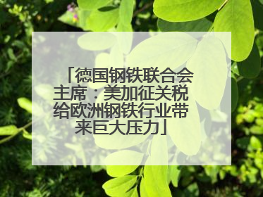 德国钢铁联合会主席：美加征关税给欧洲钢铁行业带来巨大压力