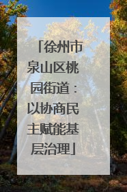 徐州市泉山区桃园街道：以协商民主赋能基层治理