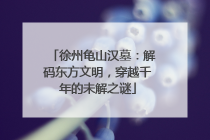徐州龟山汉墓：解码东方文明，穿越千年的未解之谜