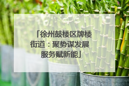 徐州鼓楼区牌楼街道：聚势谋发展 服务赋新能