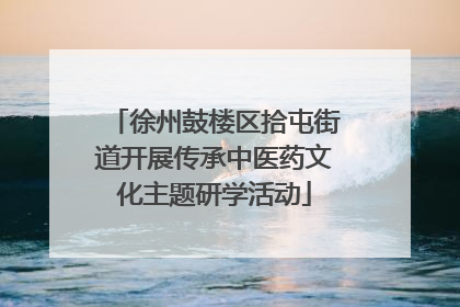 徐州鼓楼区拾屯街道开展传承中医药文化主题研学活动