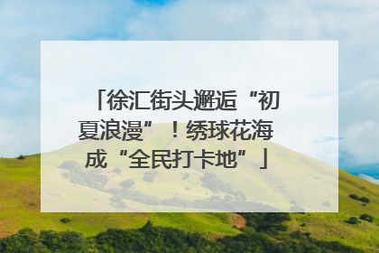 徐汇街头邂逅“初夏浪漫”！绣球花海成“全民打卡地”