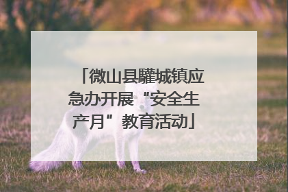 微山县驩城镇应急办开展“安全生产月”教育活动