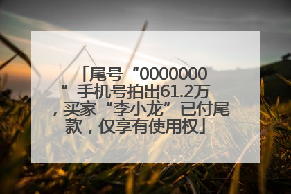 尾号“0000000”手机号拍出61.2万，买家“李小龙”已付尾款，仅享有使用权