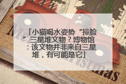 小猫喝水姿势“撞脸”三星堆文物？博物馆：该文物并非来自三星堆，有可能是它