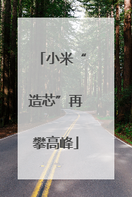 小米“造芯”再攀高峰