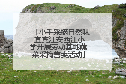 小手采摘自然味 宜宾江安西江小学开展劳动基地蔬菜采摘售卖活动