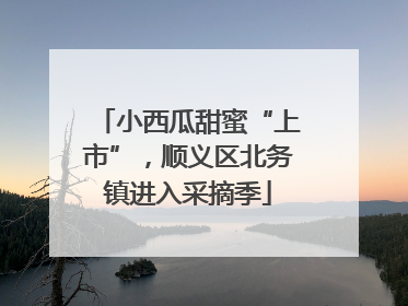 小西瓜甜蜜“上市”，顺义区北务镇进入采摘季