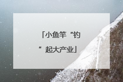 小鱼竿“钓”起大产业