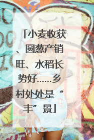 小麦收获、圆葱产销旺、水稻长势好……乡村处处是“丰”景