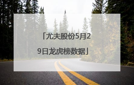 尤夫股份5月29日龙虎榜数据