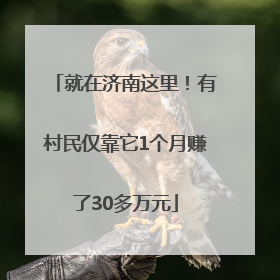 就在济南这里！有村民仅靠它1个月赚了30多万元