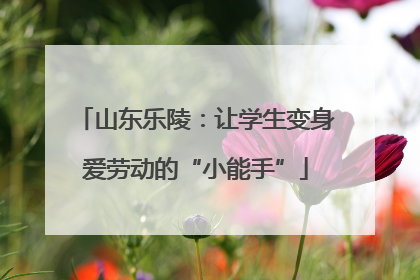 山东乐陵：让学生变身爱劳动的“小能手”