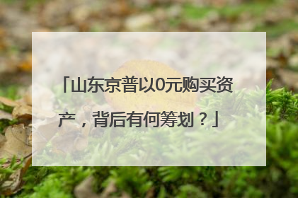 山东京普以0元购买资产，背后有何筹划？