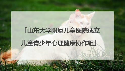 山东大学附属儿童医院成立儿童青少年心理健康协作组