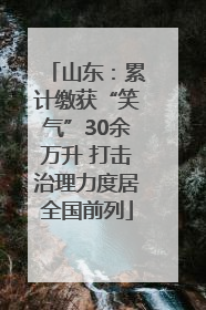 山东：累计缴获“笑气”30余万升 打击治理力度居全国前列