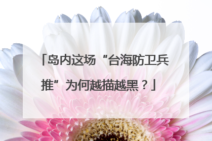 岛内这场“台海防卫兵推”为何越描越黑？