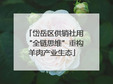 岱岳区供销社用“全链思维”重构羊肉产业生态