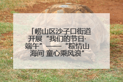 崂山区沙子口街道开展“我们的节日·端午”——“粽情山海间 童心乘风浪”文明实践活动