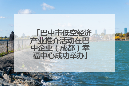 巴中市低空经济产业推介活动在巴中企业（成都）幸福中心成功举办