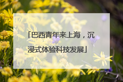 巴西青年来上海，沉浸式体验科技发展