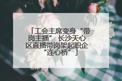 工会主席变身“带岗主播” 长沙天心区直播带岗架起职企“连心桥”