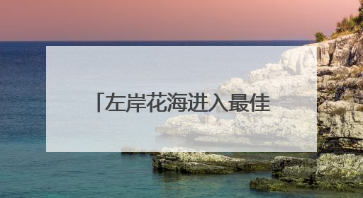 左岸花海进入最佳观赏期 邀市民共赏夏日繁花盛景