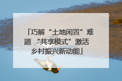 巧解“土地闲置”难题 “共享模式”激活乡村振兴新动能