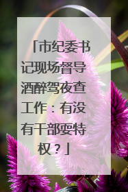 市纪委书记现场督导酒醉驾夜查工作：有没有干部耍特权？