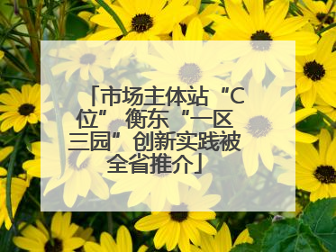市场主体站“C位” 衡东“一区三园”创新实践被全省推介
