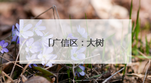 广信区：大树底下“议”出基层治理新图景
