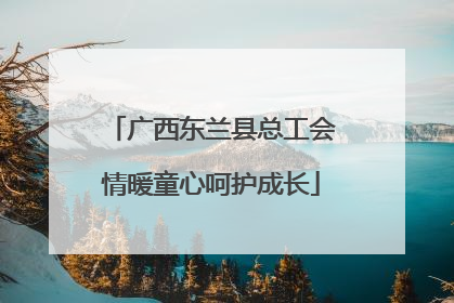 广西东兰县总工会情暖童心呵护成长