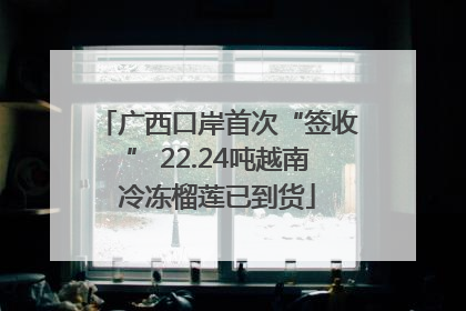 广西口岸首次“签收” 22.24吨越南冷冻榴莲已到货