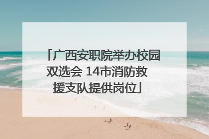 广西安职院举办校园双选会 14市消防救援支队提供岗位