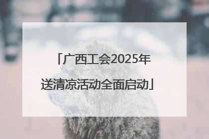 广西工会2025年送清凉活动全面启动