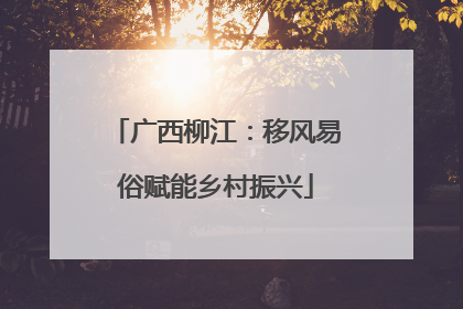 广西柳江：移风易俗赋能乡村振兴