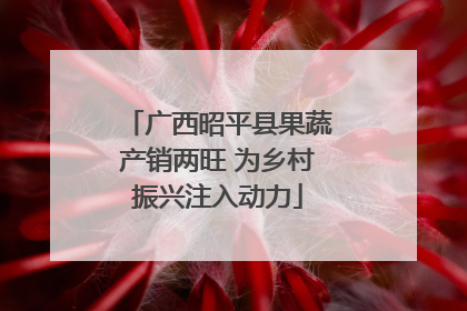 广西昭平县果蔬产销两旺 为乡村振兴注入动力