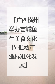 广西横州举办峦城鱼生美食文化节 推动产业标准化发展