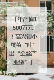 年产值1500万元！高兴镇小蚕茧“吐”出“金丝产业链”
