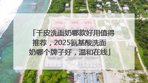 干皮洗面奶哪款好用值得推荐，2025氨基酸洗面奶哪个牌子好，温和在线