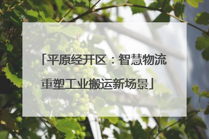 平原经开区：智慧物流重塑工业搬运新场景