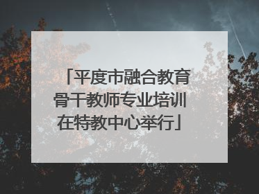平度市融合教育骨干教师专业培训在特教中心举行