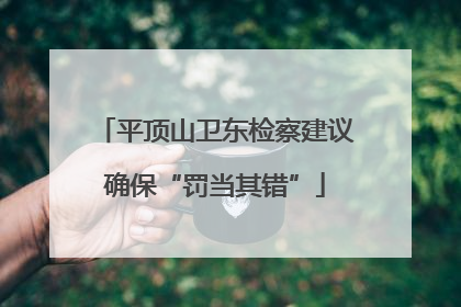 平顶山卫东检察建议确保“罚当其错”